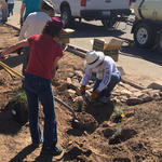 Watershed Management Group Phoenix Green Infrastructure Training at the Flood Control District Office March 2016
