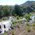 Tucsonans wade in the Santa Cruz River's new waters. Photo by Jamie Manser