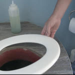 Waste Not - Composting Toilets