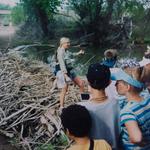 Sandy Anderson, director of Gray Hawk Nature Center, shows school kids a beaver dam on the San Pedro River in 2004. Courtesy of Sandy Anderson
