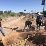 Volunteers digging at a schoolyard program workday. 