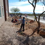 Basis Tucson North water harvesting project