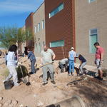 Basis Tucson North water harvesting project - volunteers