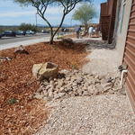 Basis Tucson North water harvesting project - finished and mulched basins