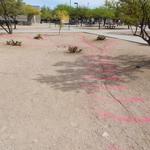 Cienega High School water harvesting project - outlining basins with spray paint