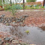 Water harvesting creates a ripple effect (photo credit City of Mesa)