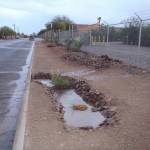 Salpointe project site after