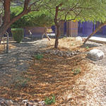 Sierra Middle School water harvesting project