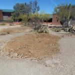 Valencia Middle School water harvesting earthworks - excavated basin