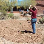 Valencia Middle School water harvesting earthworks - volunteers in basin
