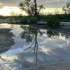 Rio Vista Pond