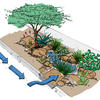 Curb cuts direct stormwater into streetside basins, or rain gardens, providing free irrigation for trees and other vegetation while reducing flooding and stormwater pollution.