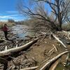 a volunteer surveying the san pedro river during the 3rd annual binational beaver survey