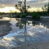 a photo of a rain basin at the rio vista natural resouce park in tucson