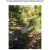 Cover of Field Guide to Riparian Restoration and Upland and Arroyo Erosion