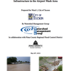Solving Flooding Challenges with Green Stormwater Infrastructure in the Airport Wash Area