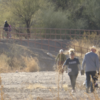 rillito arundo removal group