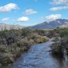 Agua Caliente at Houghton Rd, photo of flow