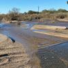 Agua Caliente at Ft. Lowell Rd, photo of flow