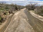 Edwin Rd March 2024