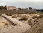 Tanque Verde Rd January 2024