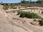 Tanque Verde Rd May 2024