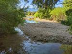 Wentworth Bosque August 2024