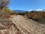 Wentworth Bosque December 2023