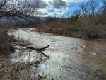 Wentworth Bosque February 2024