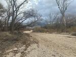 Wentworth Bosque January 2024