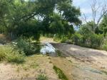 Wentworth Bosque May 2024