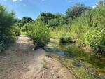Wentworth Bosque September 2024