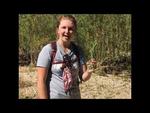 Embedded thumbnail for Tanque Verde Creek Flows in June! Field trip for National Rivers Month